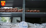 Siêu thị 0 đồng dành cho người nghèo ở Hà Nội mùa dịch Covid-19